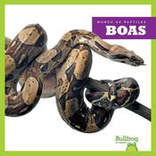 Boas by  Imogen Kingsley audiobook
