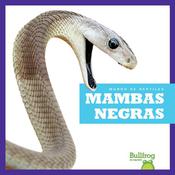 Mambas negras by  Imogen Kingsley audiobook