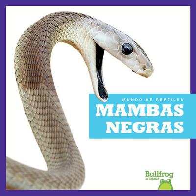 Mambas negras by Imogen Kingsley audiobook