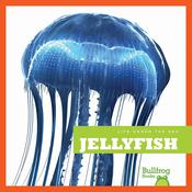 Jellyfish by  Cari Meister audiobook