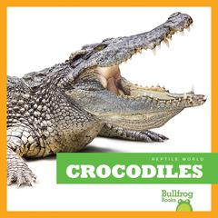 Crocodiles by Cari Meister audiobook