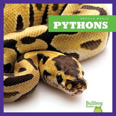 Pythons by Cari Meister audiobook