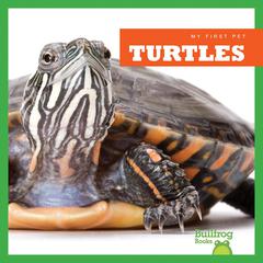 Turtles by Cari Meister audiobook