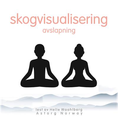 skogvisualisering avslapning by Frédéric Garnier audiobook