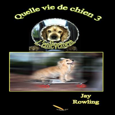 Quelle vie de chien 3 L'enlèvement by Jay Rowling audiobook