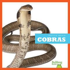 Cobras by Vanessa Black audiobook