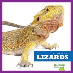 Lizards by Vanessa Black audiobook