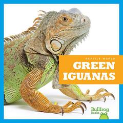 Green Iguanas by Vanessa Black audiobook
