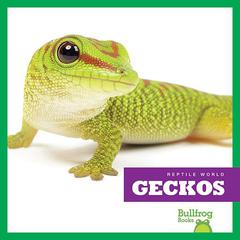 Geckos by Vanessa Black audiobook