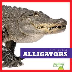 Alligators by Vanessa Black audiobook