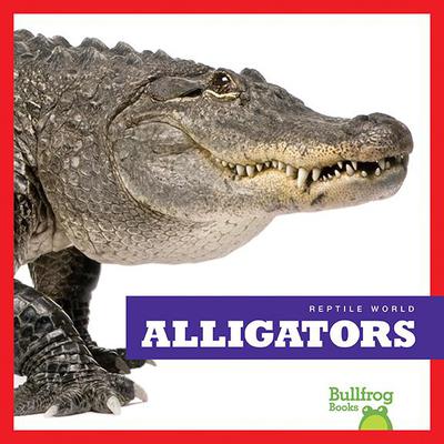 Alligators by Vanessa Black audiobook