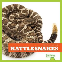 Rattlesnakes by Vanessa Black audiobook