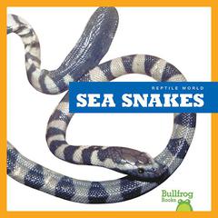 Sea Snakes by Vanessa Black audiobook