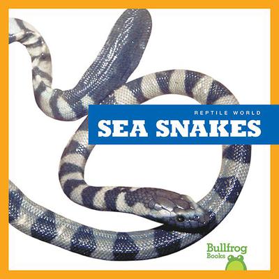 Sea Snakes by Vanessa Black audiobook