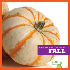 Fall by Emily C. Dawson audiobook