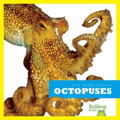 Octopuses by Cari Meister audiobook