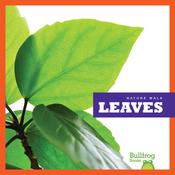 Leaves by  Rebecca Stromstad Glaser audiobook