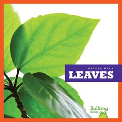 Leaves by Rebecca Stromstad Glaser audiobook