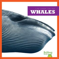Whales by Cari Meister audiobook