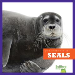 Seals by Cari Meister audiobook