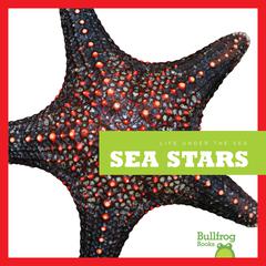 Sea Stars by Cari Meister audiobook