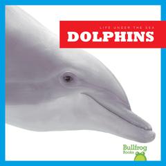 Dolphins by Cari Meister audiobook