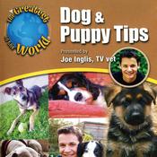 Dog & Puppy Tips by  Joe Inglis audiobook