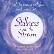 Stillness in the Storm by  Jan Alcoe audiobook