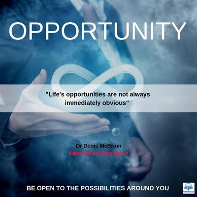 Opportunity by Denis McBrinn audiobook