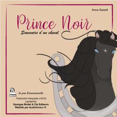 Prince Noir by Anna Sewell audiobook