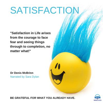 Satisfaction by Denis McBrinn audiobook