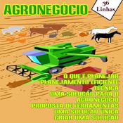 Agronegócios by  Ricardo Garay audiobook