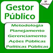 Gestor Público by  Ricardo Garay audiobook