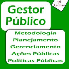 Gestor Público by Ricardo Garay audiobook