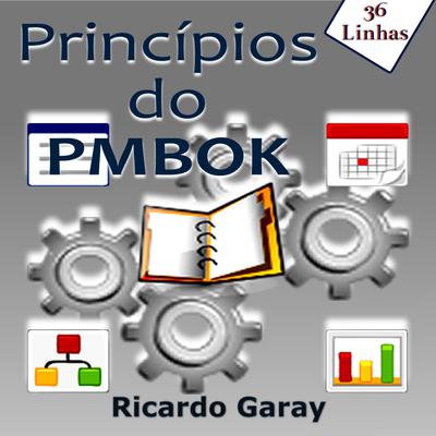 Princípios do PMBOK by Ricardo Garay audiobook