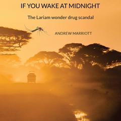 If You Wake at Midnight by Andrew Marriott audiobook