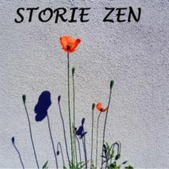 Storie zen by unknown audiobook