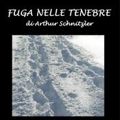 Fuga nelle tenebre by  Arthur Schnitzler audiobook