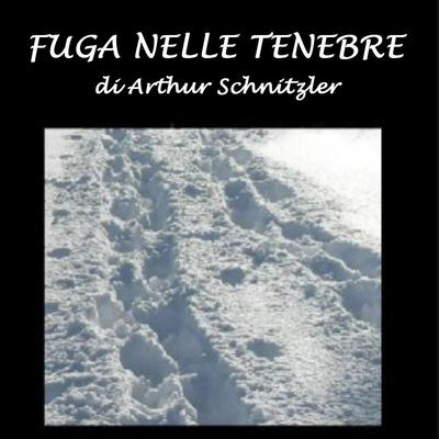 Fuga nelle tenebre by Arthur Schnitzler audiobook