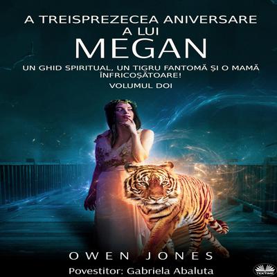 A treisprezecea aniversare a lui Megan by Owen Jones audiobook