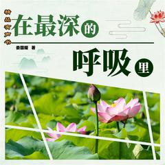 在最深的呼吸里 by 娄国耀  audiobook