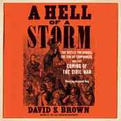 A Hell of a Storm by  David S. Brown audiobook