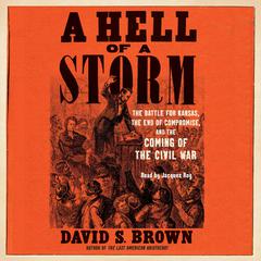 A Hell of a Storm by David S. Brown audiobook