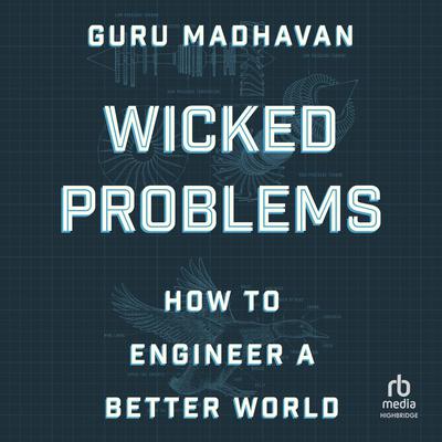 Wicked Problems by Guru Madhavan audiobook