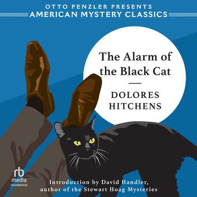 The Alarm of the Black Cat by Dolores Hitchens audiobook