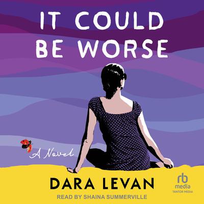It Could Be Worse by Dara Levan audiobook