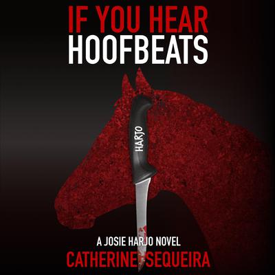 If You Hear Hoofbeats by Catherine Sequeira audiobook