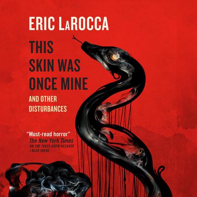 This Skin Was Once Mine by Eric LaRocca audiobook