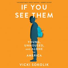 IF YOU SEE THEM by Vicki Sokolik audiobook
