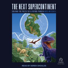 The Next Supercontinent by Ross Mitchell audiobook